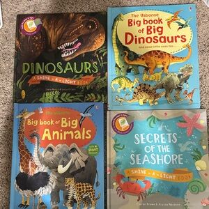 Usborne Big Book of Dinosaurs and Animals Set